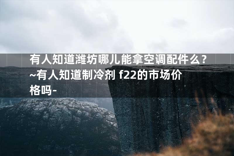 有人知道潍坊哪儿能拿空调配件么？~有人知道制冷剂 f22的市场价格吗-